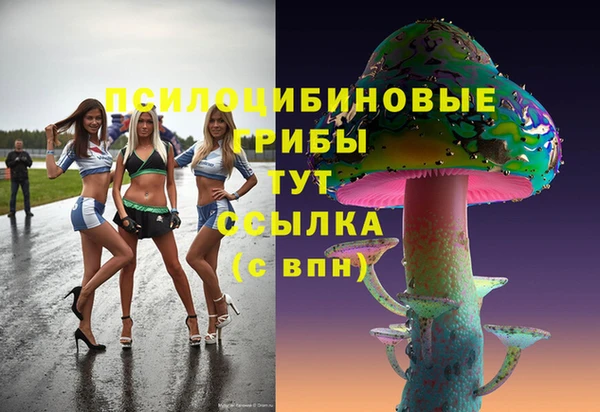 мяу мяу мука Баксан