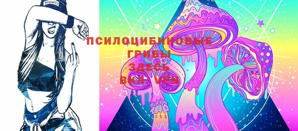 мяу мяу мука Баксан