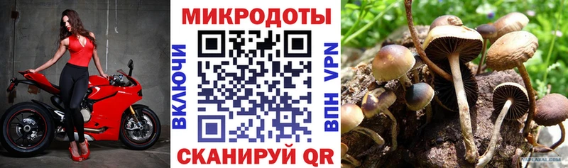 Купить где  Апрелевка  Псилоцибиновые грибы прущие грибы 